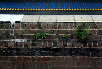 ��Ͳ��ǧ����ѵ��Ƶ�����ǿ����ŷӦ��ͬά����սʤ���ɹ�...